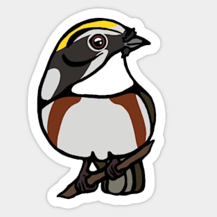 Chestnut Sided Warbler Graphic Sticker